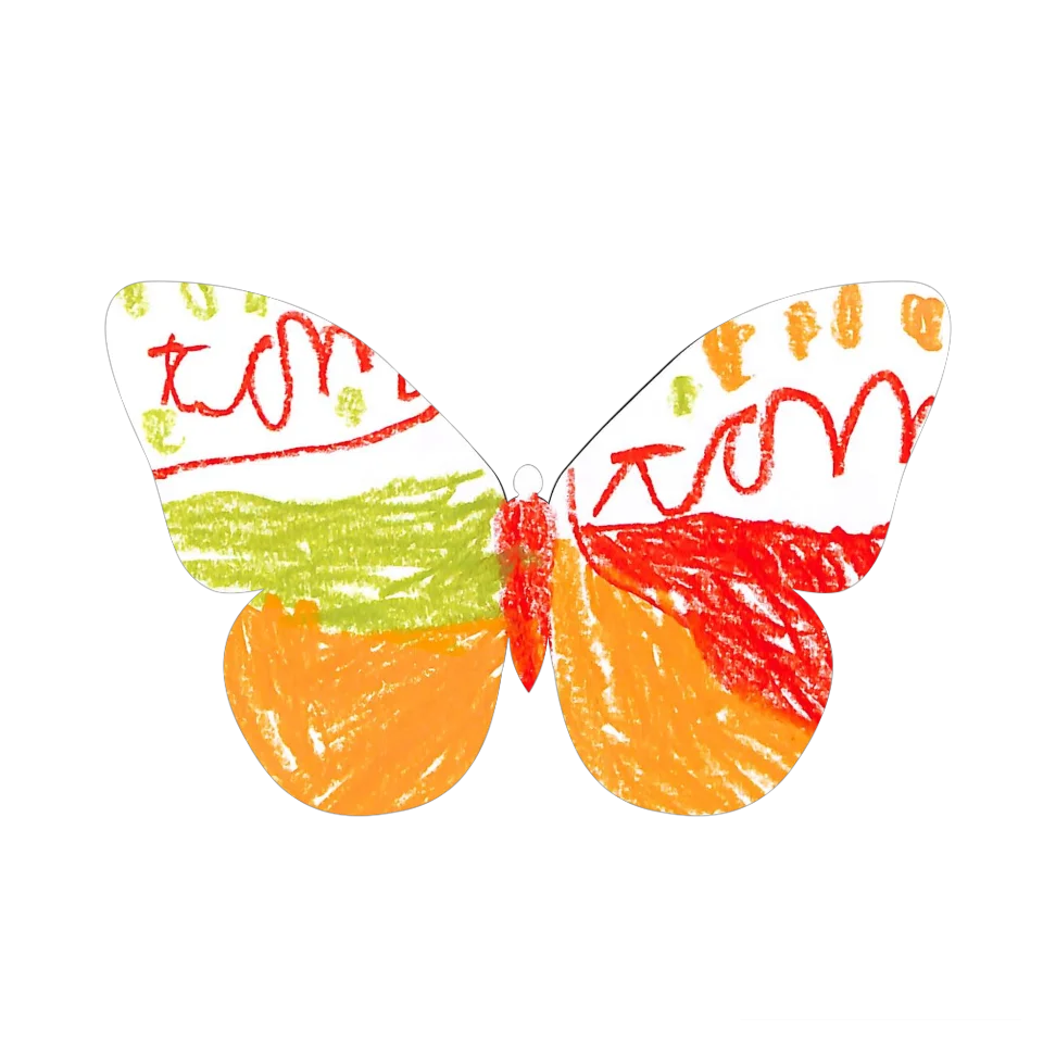 Original Butterfly Image