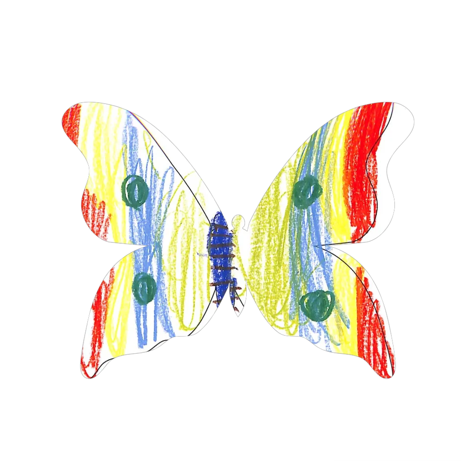 Original Butterfly Image