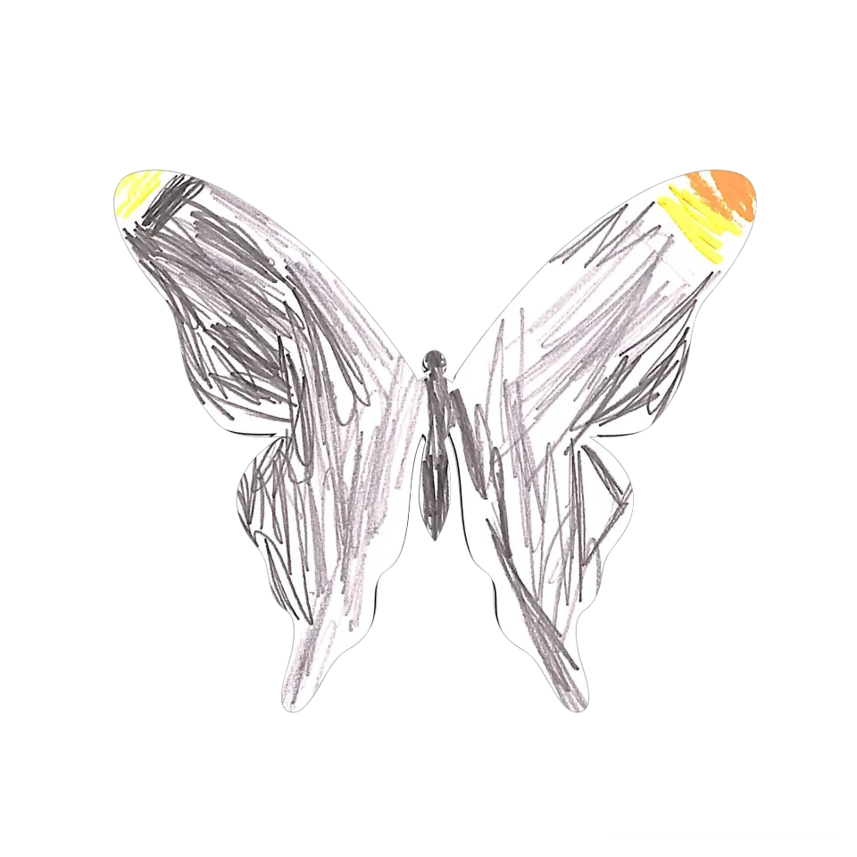 Original Butterfly Image