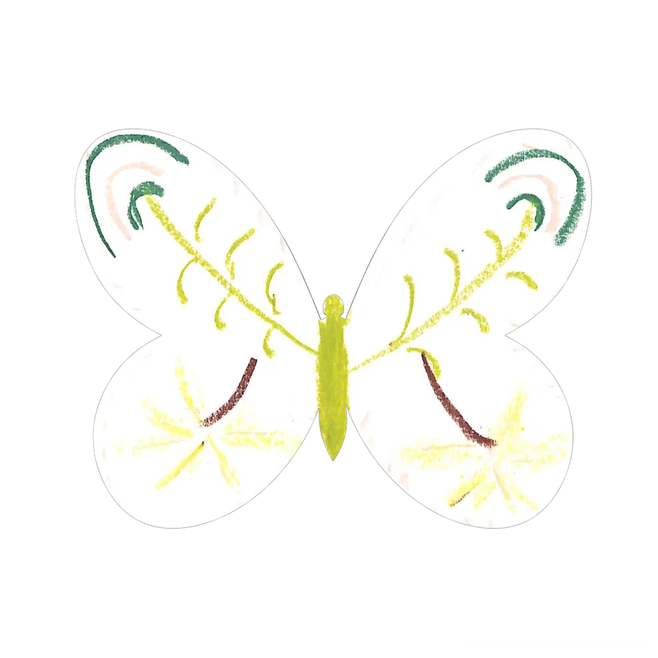 Original Butterfly Image