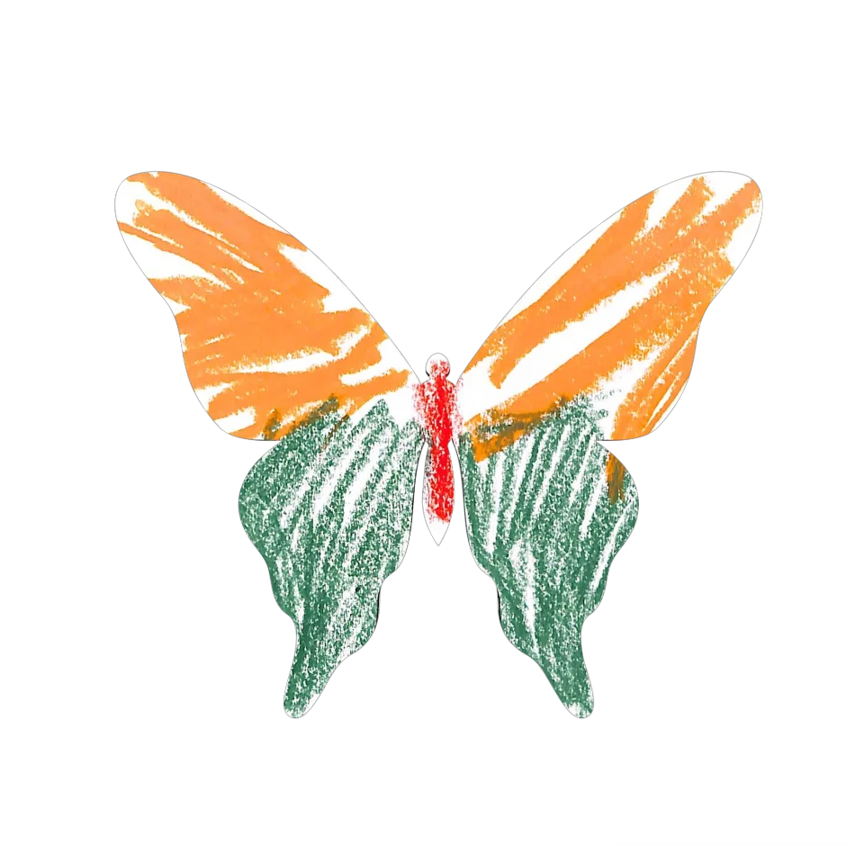 Original Butterfly Image