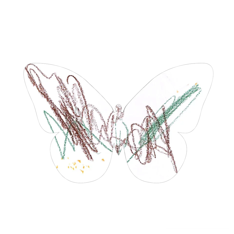 Original Butterfly Image