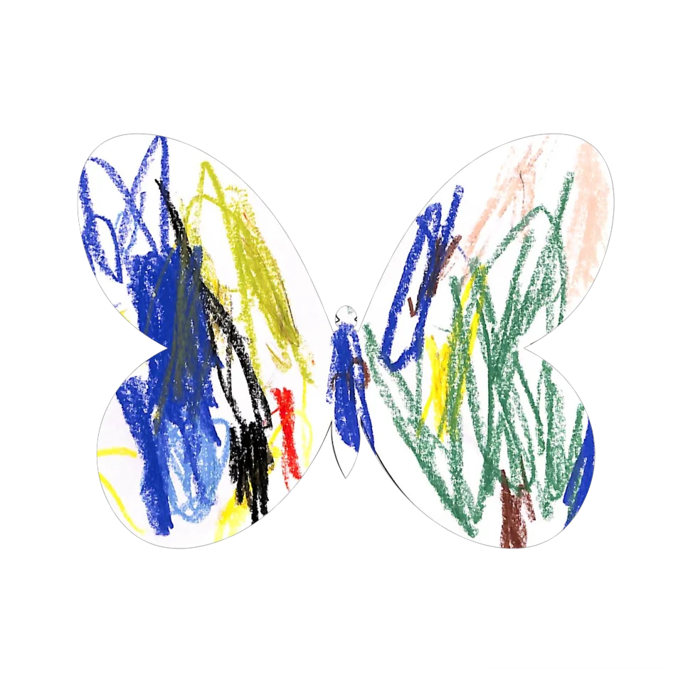 Original Butterfly Image