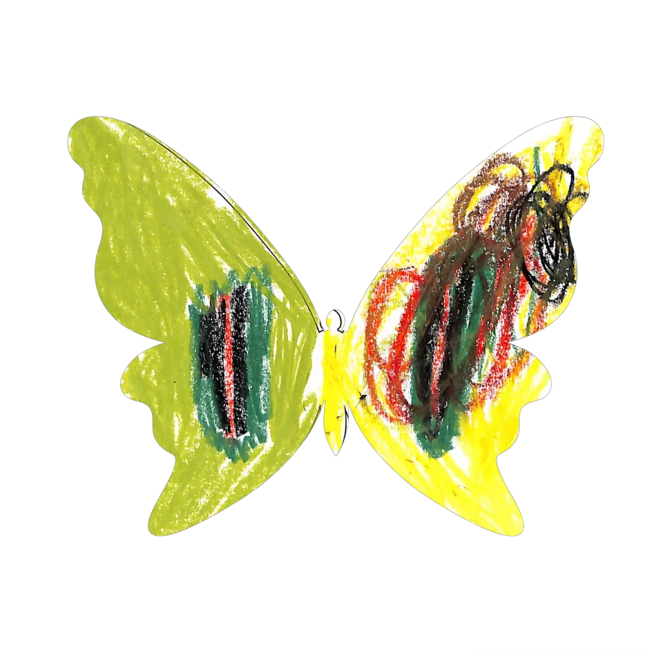 Original Butterfly Image
