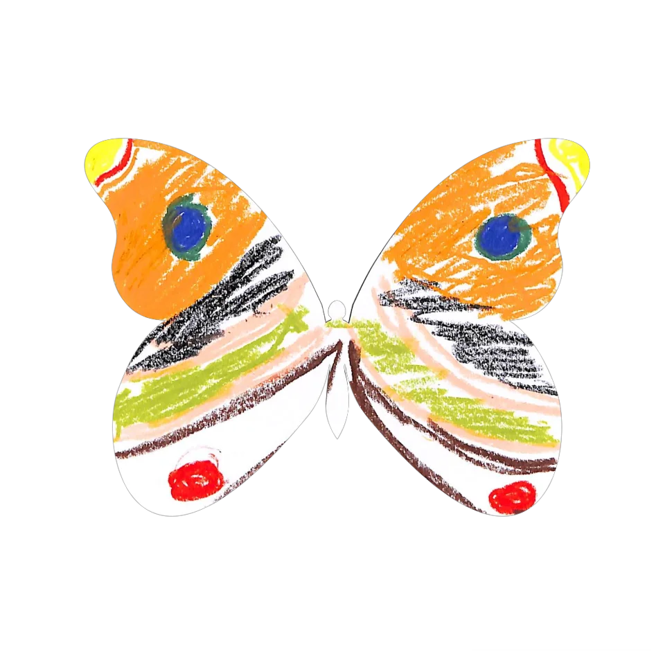 Original Butterfly Image
