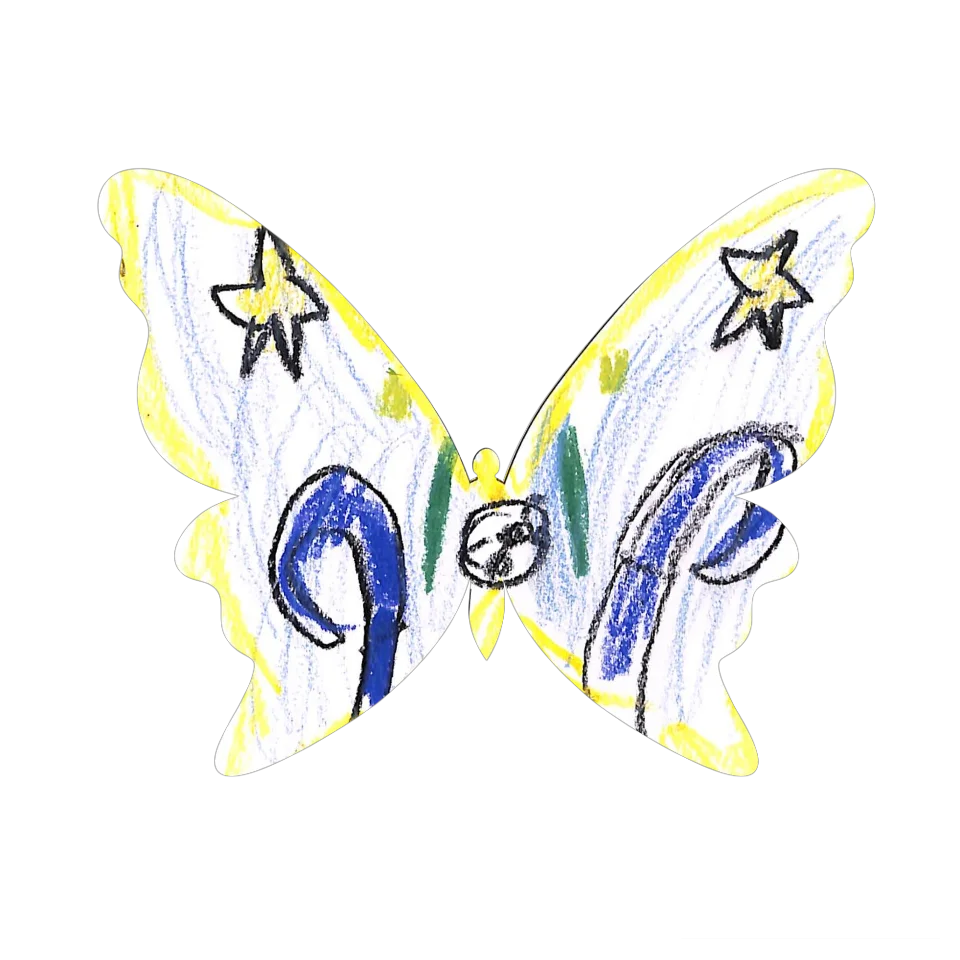 Original Butterfly Image
