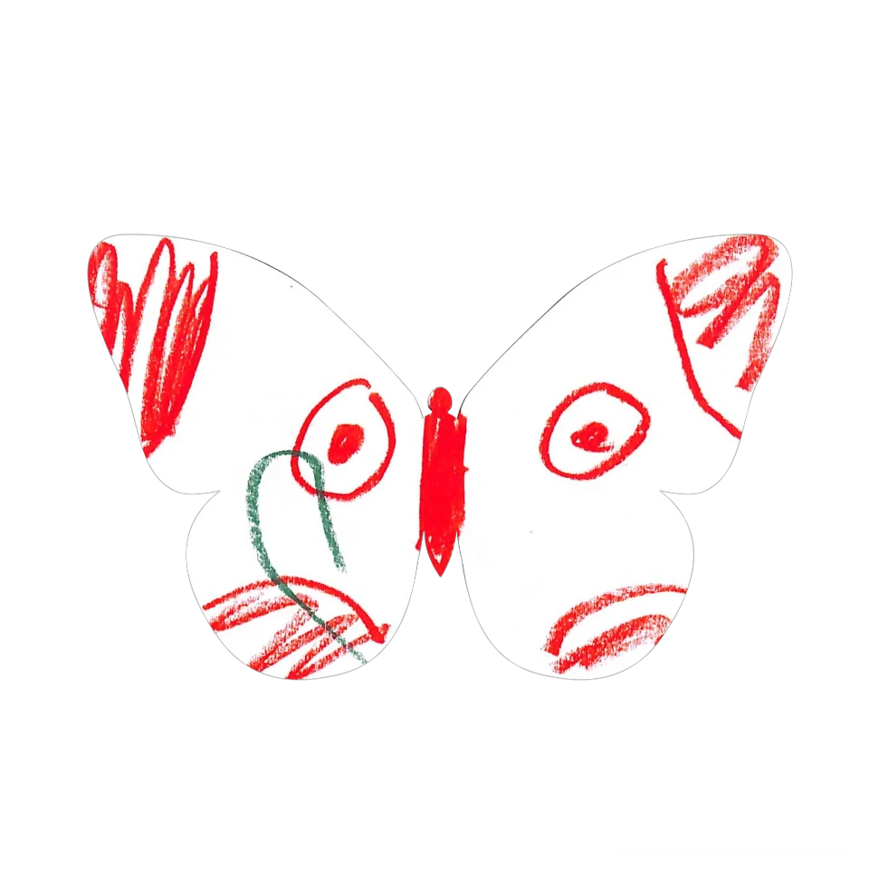 Original Butterfly Image