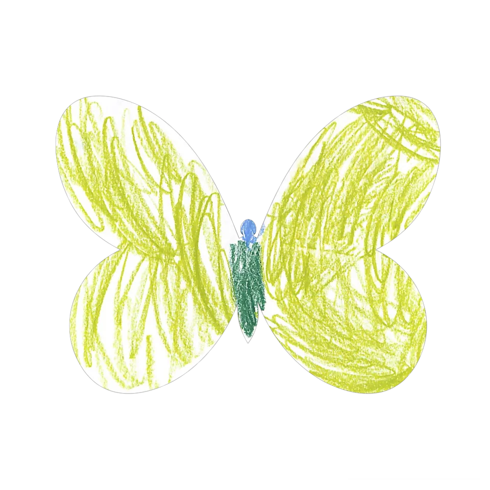 Original Butterfly Image