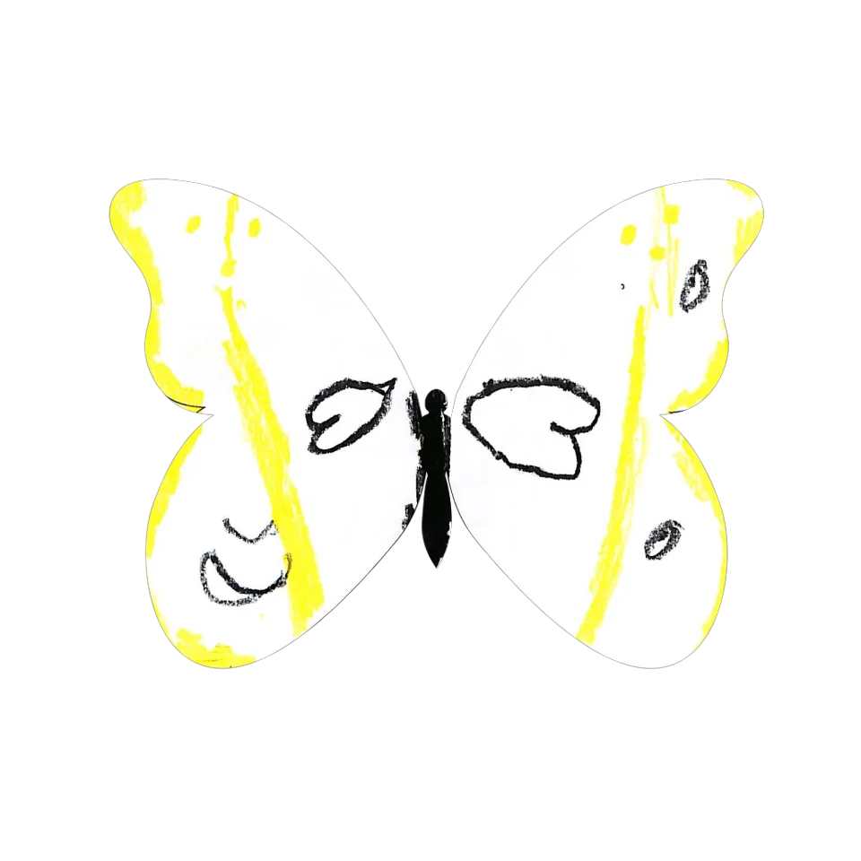 Original Butterfly Image