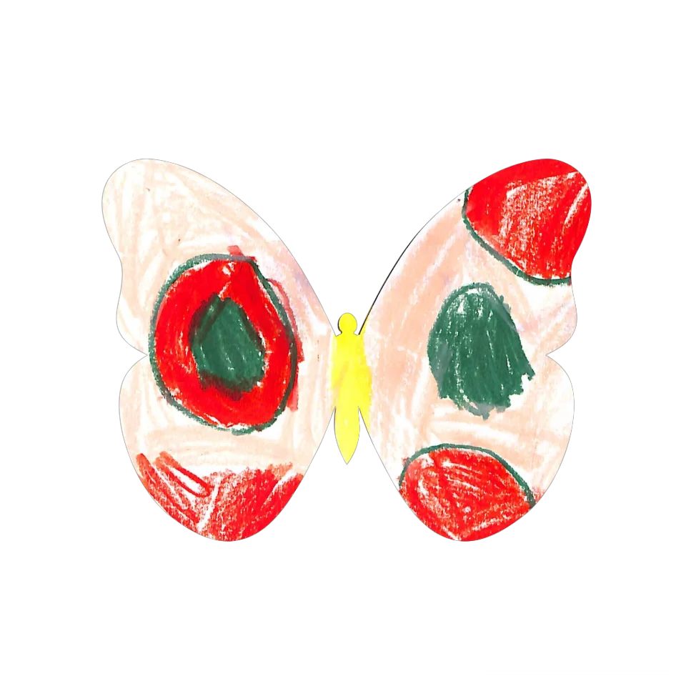 Original Butterfly Image