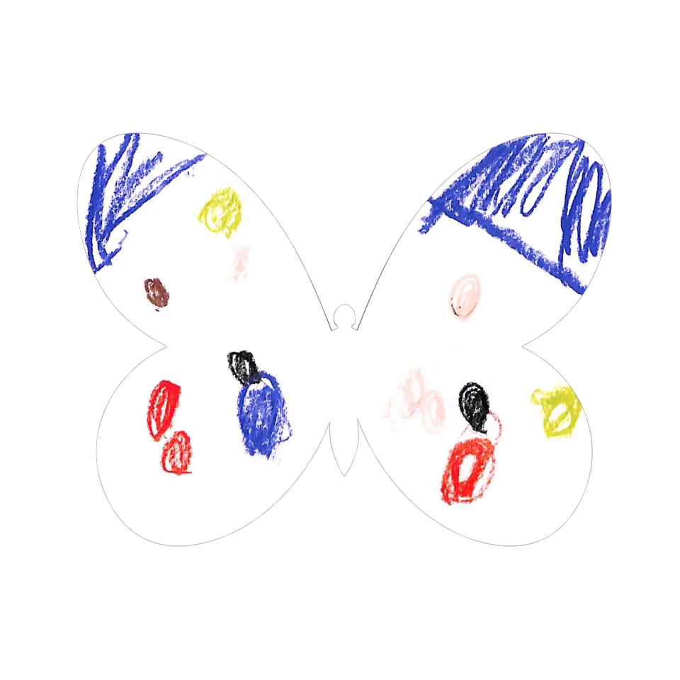 Original Butterfly Image