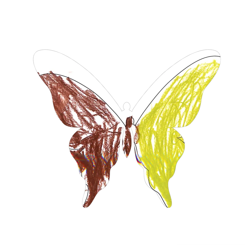 Original Butterfly Image