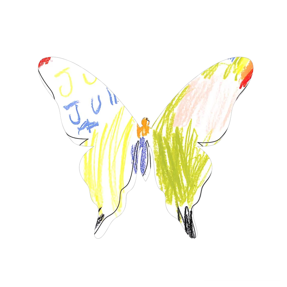 Original Butterfly Image