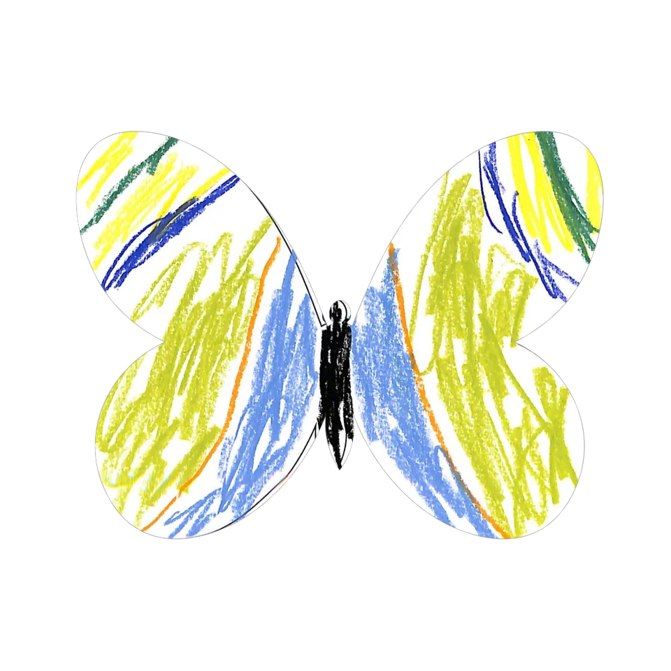 Original Butterfly Image