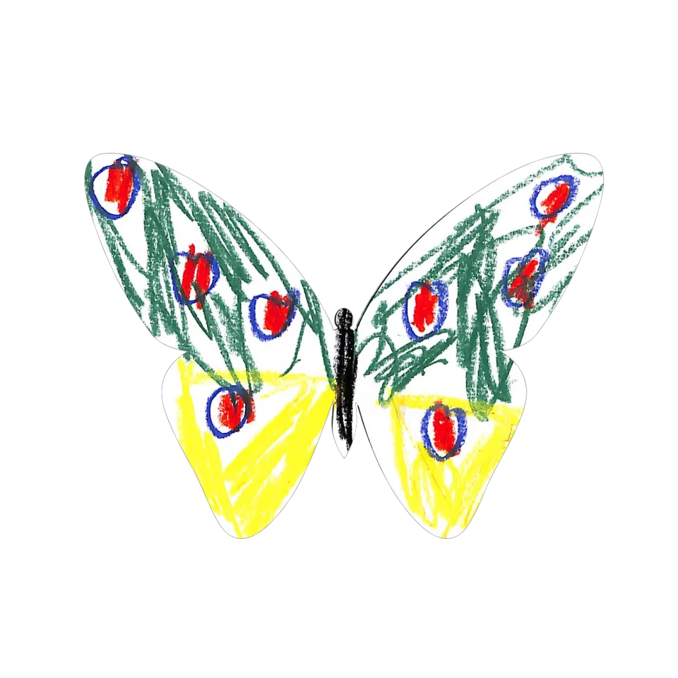 Original Butterfly Image