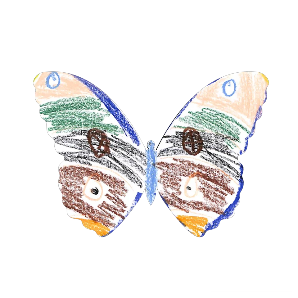 Original Butterfly Image