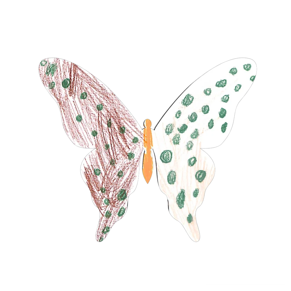 Original Butterfly Image