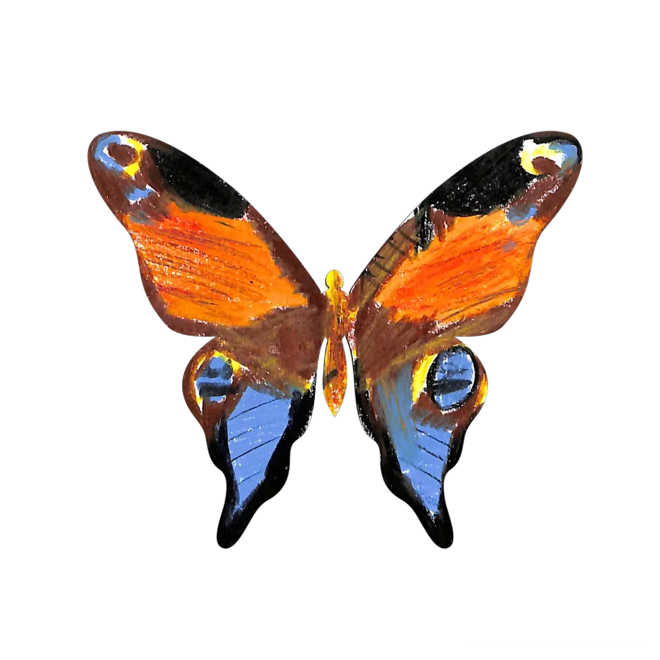 Original Butterfly Image
