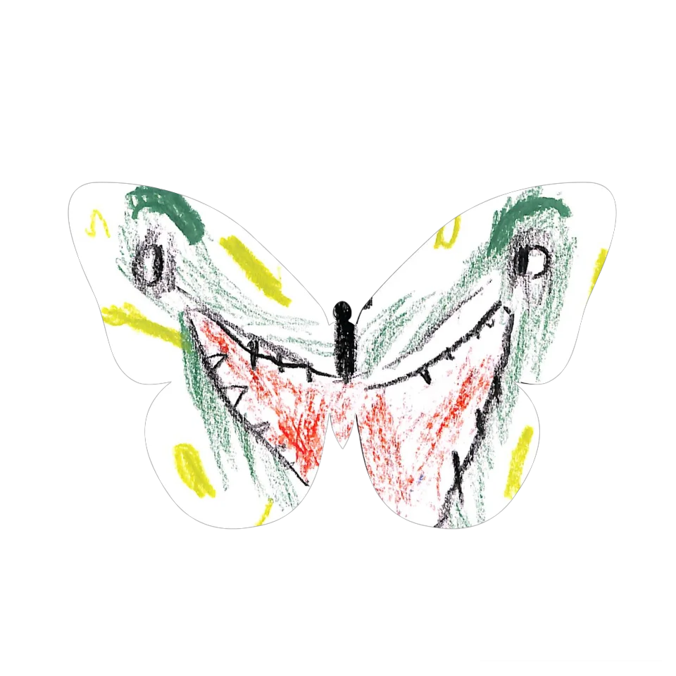 Original Butterfly Image