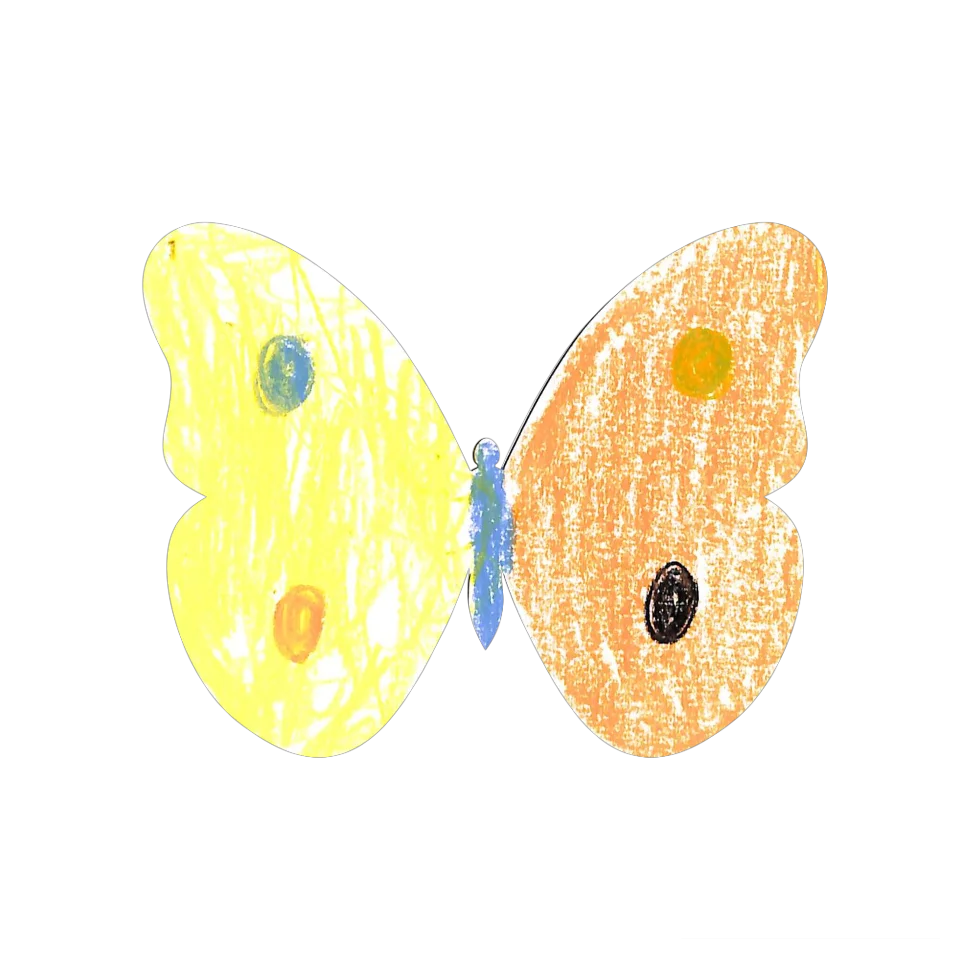 Original Butterfly Image