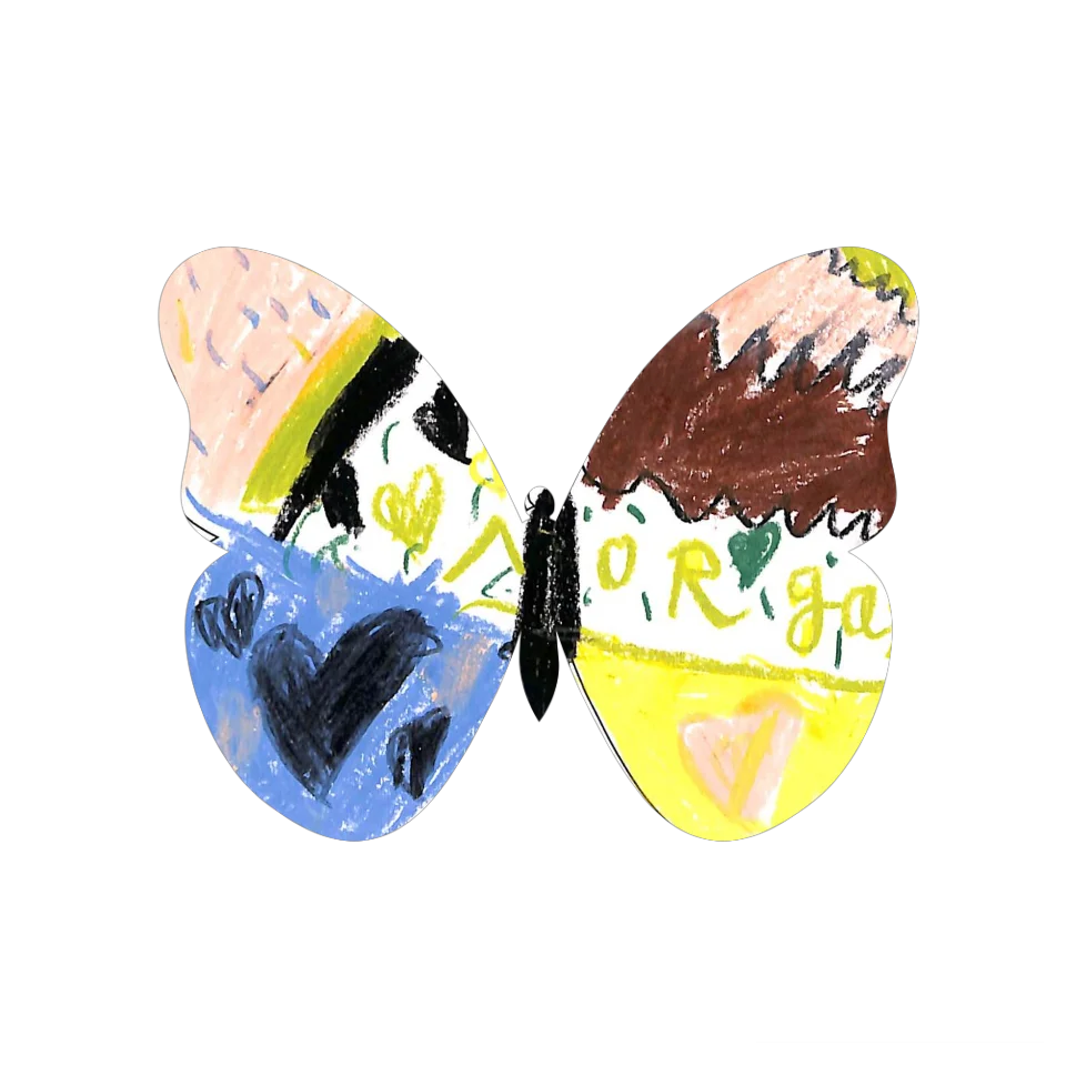 Original Butterfly Image