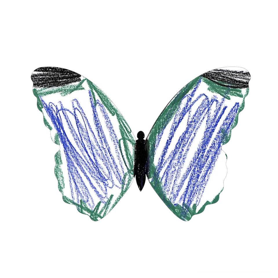 Original Butterfly Image