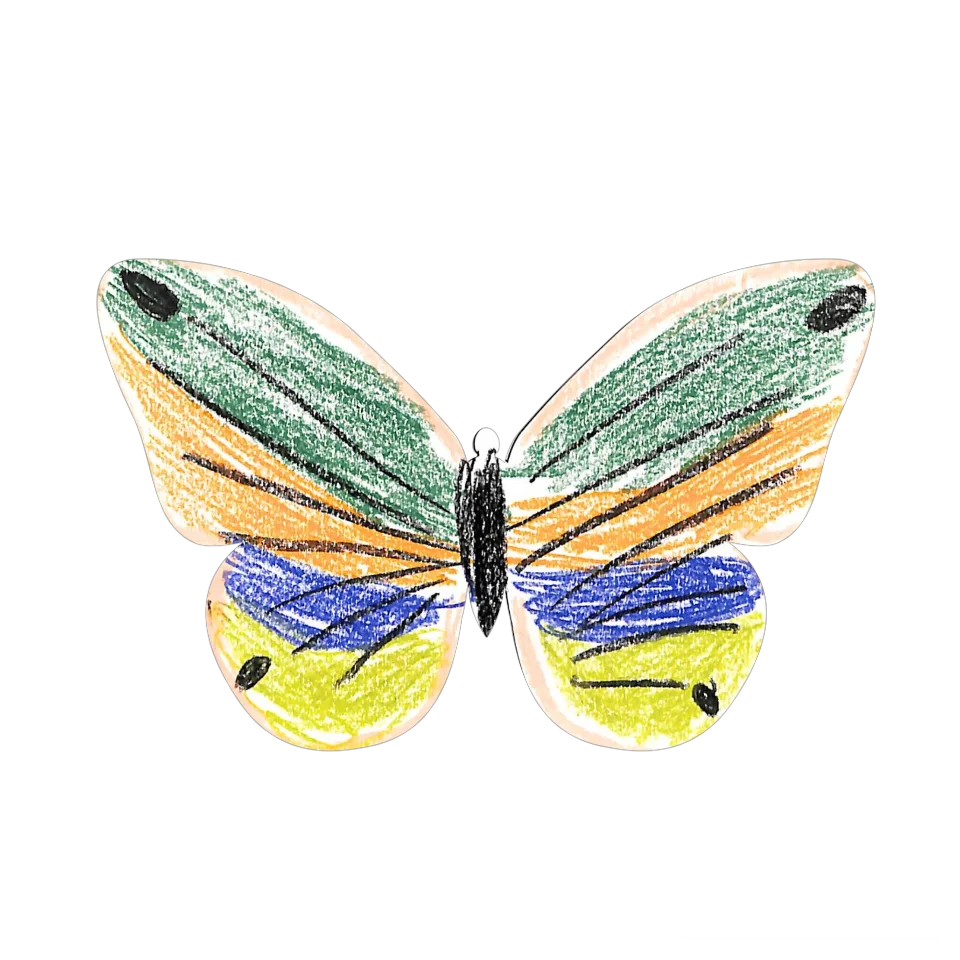 Original Butterfly Image