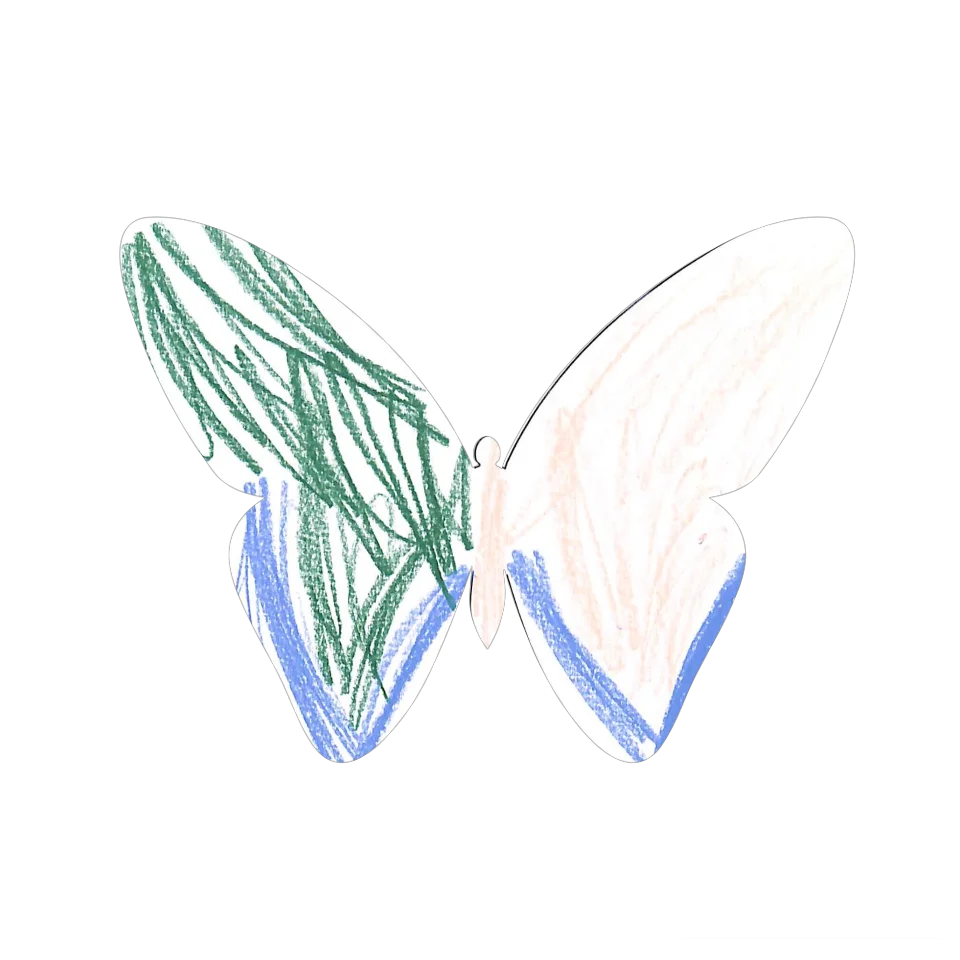 Original Butterfly Image