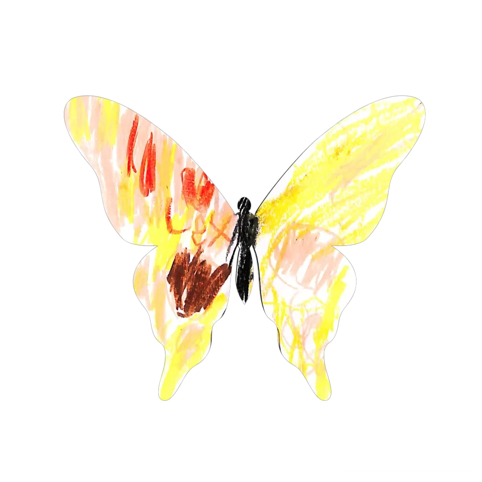 Original Butterfly Image