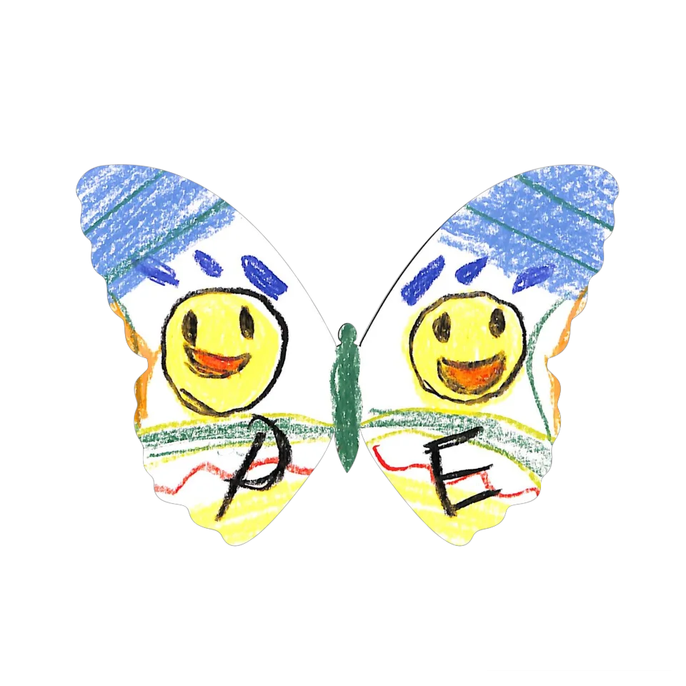 Original Butterfly Image