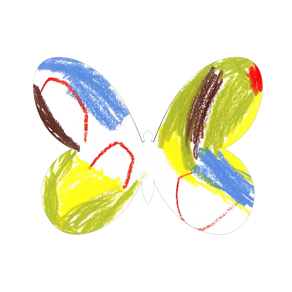 Original Butterfly Image