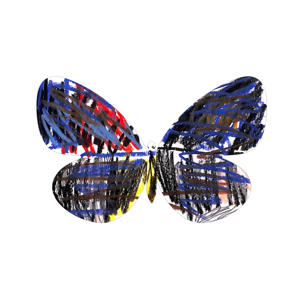 Original Butterfly Image