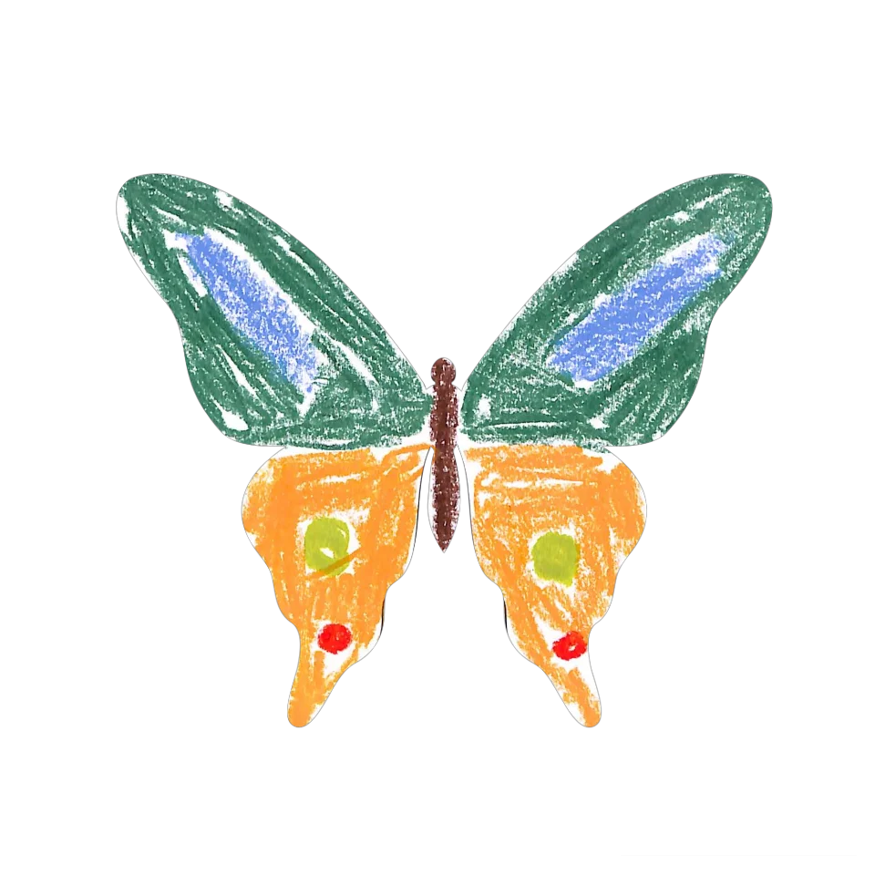 Original Butterfly Image