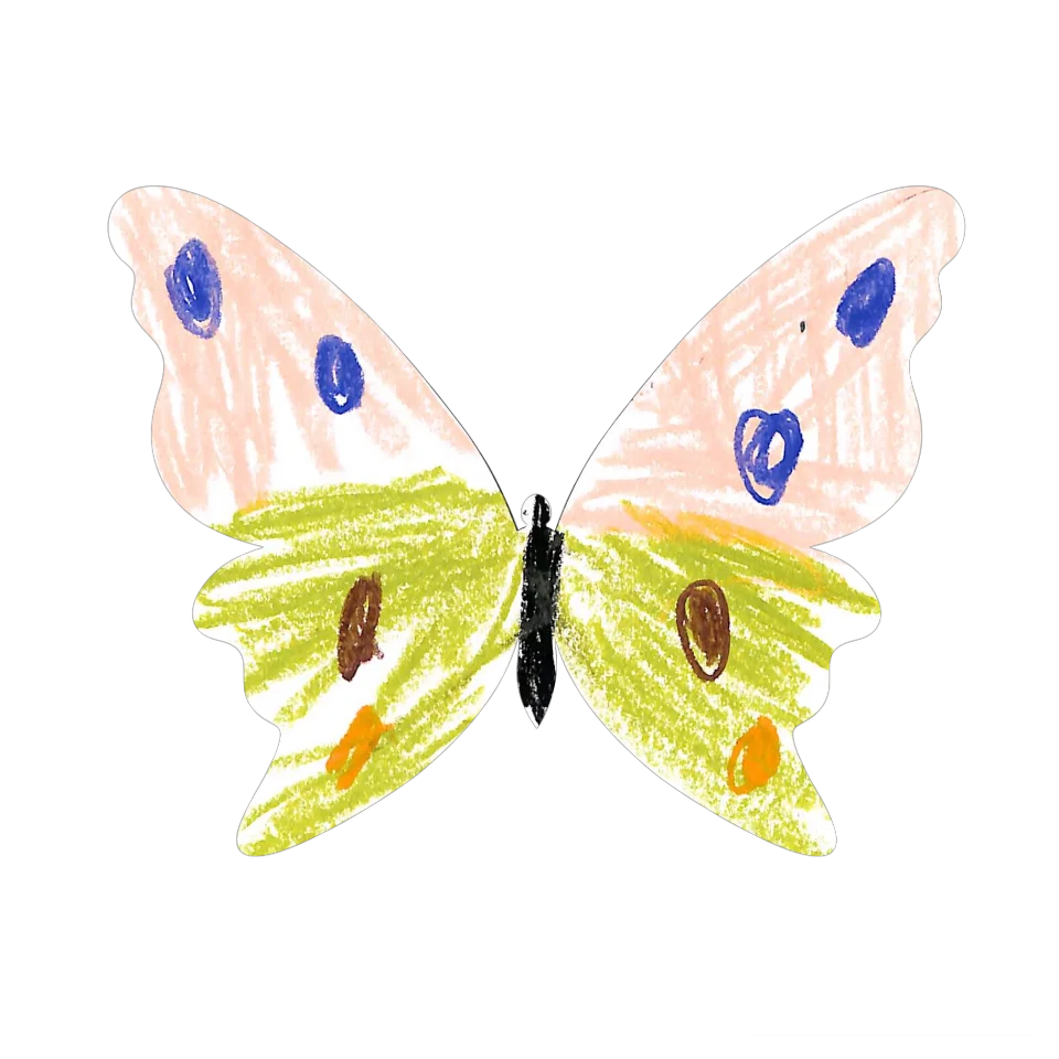 Original Butterfly Image