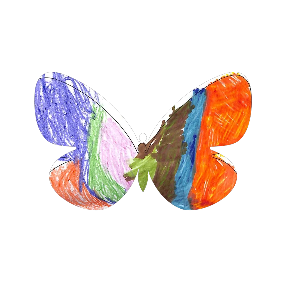 Original Butterfly Image