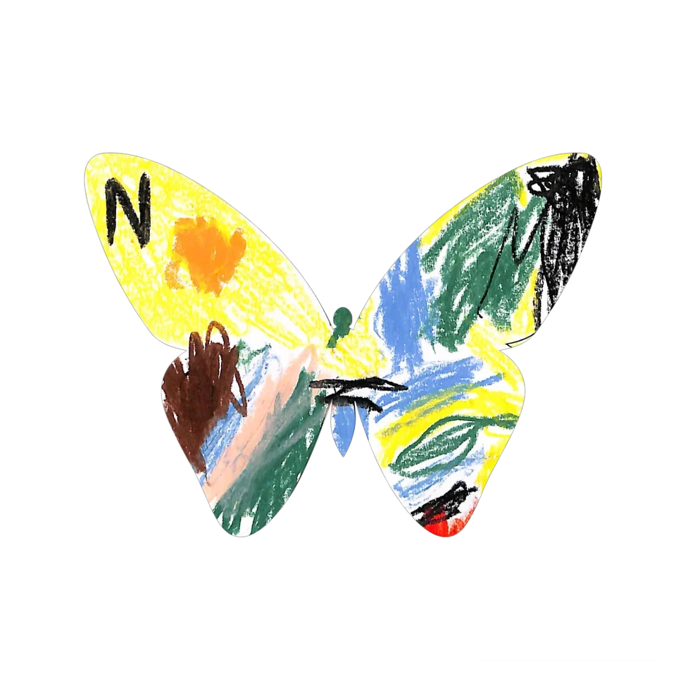 Original Butterfly Image