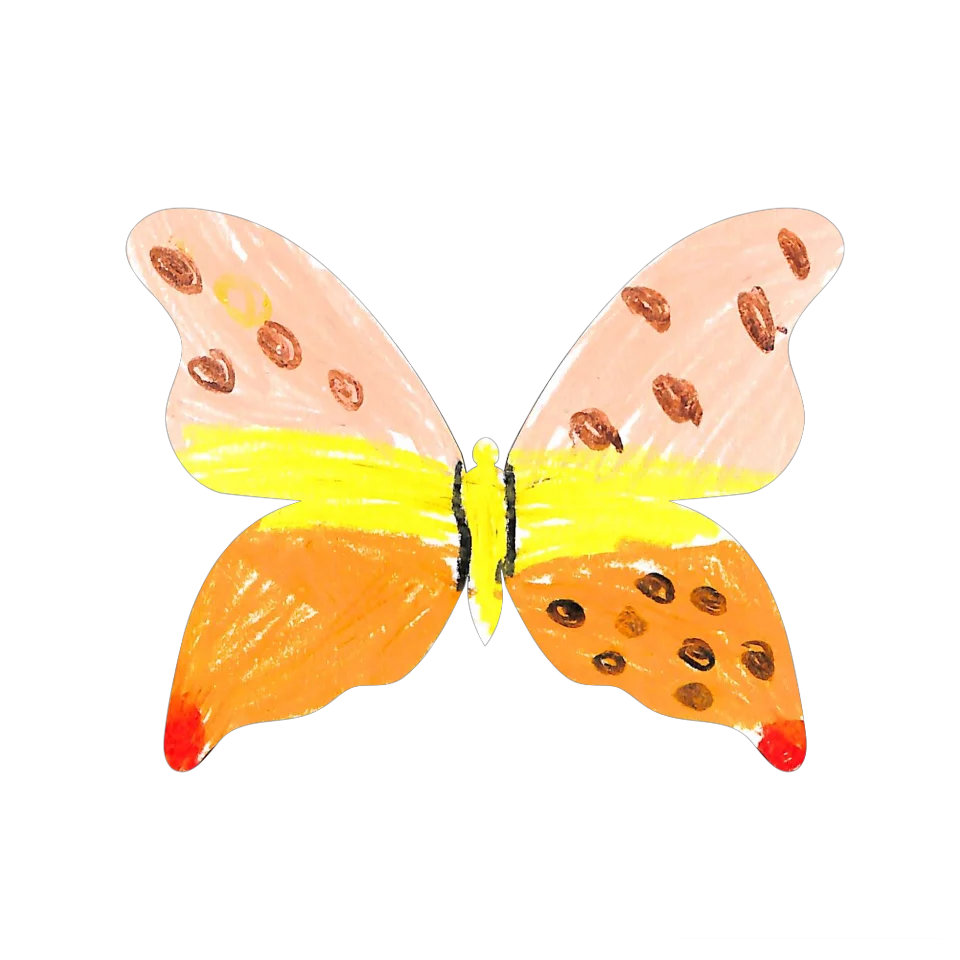 Original Butterfly Image
