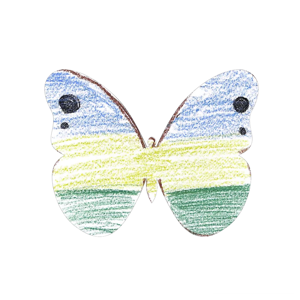 Original Butterfly Image
