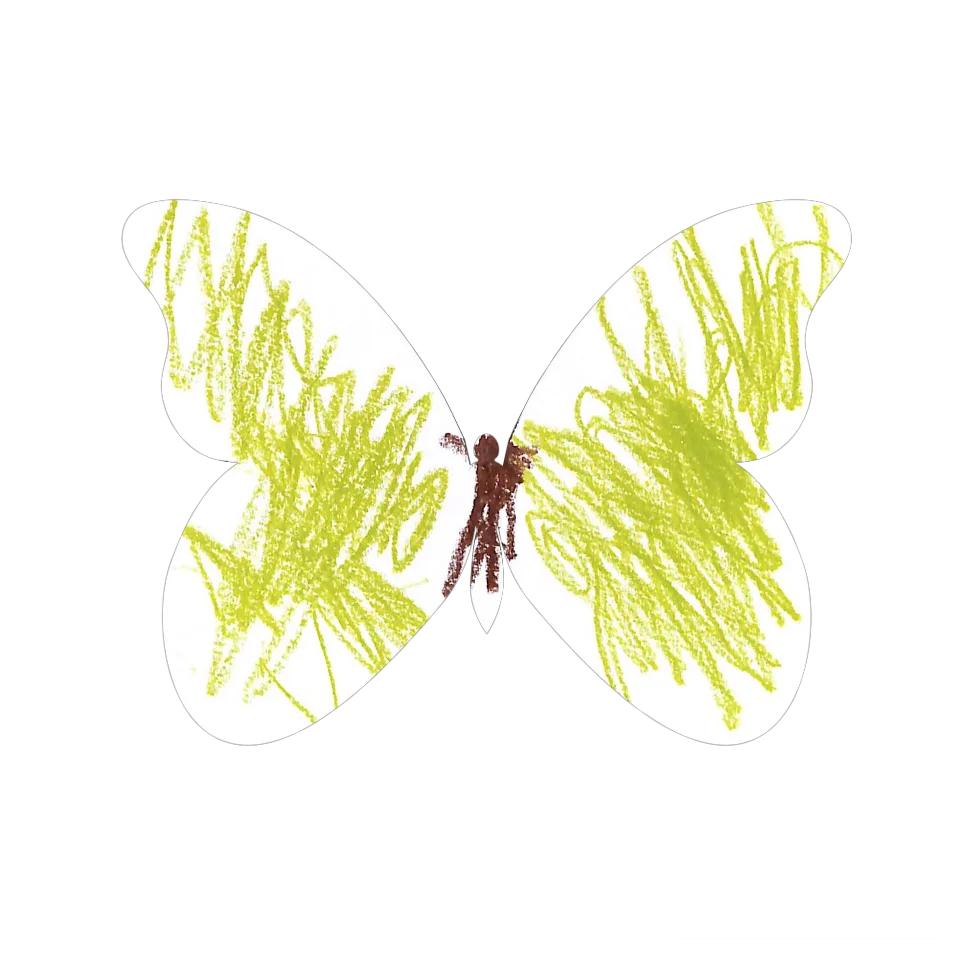 Original Butterfly Image