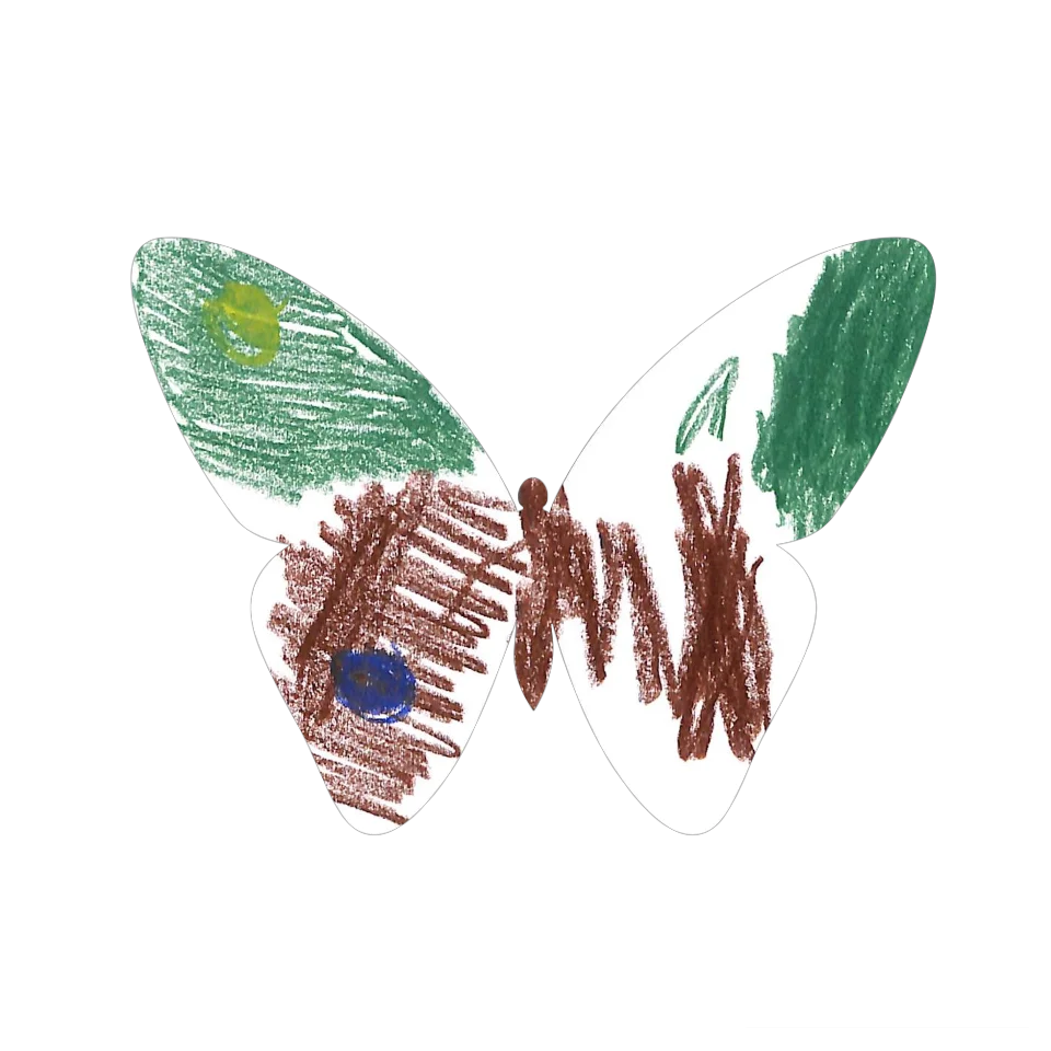 Original Butterfly Image