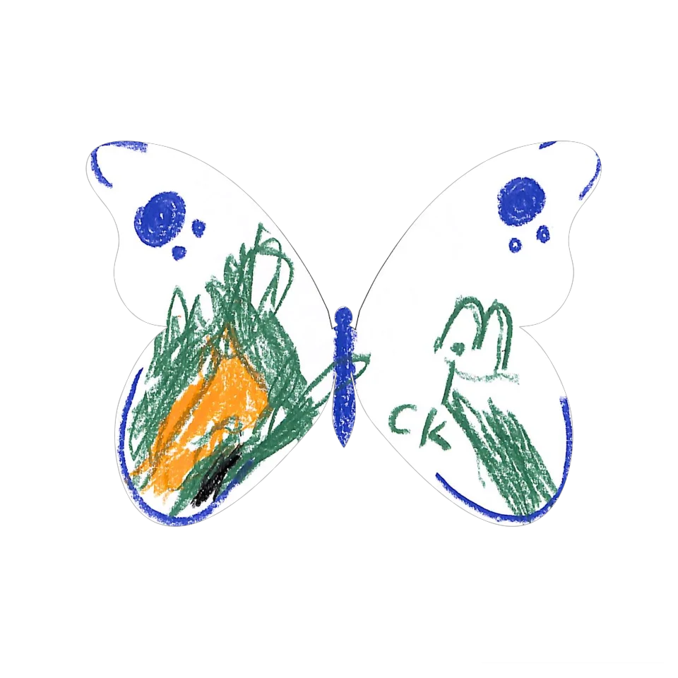 Original Butterfly Image