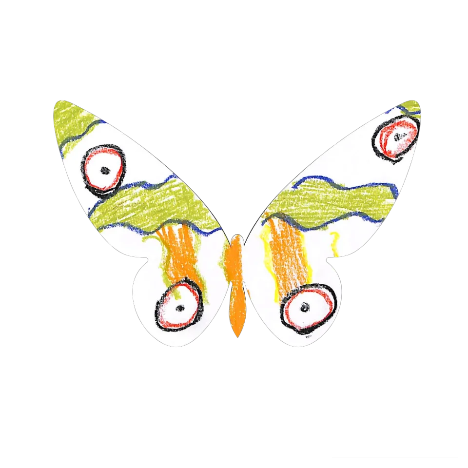 Original Butterfly Image