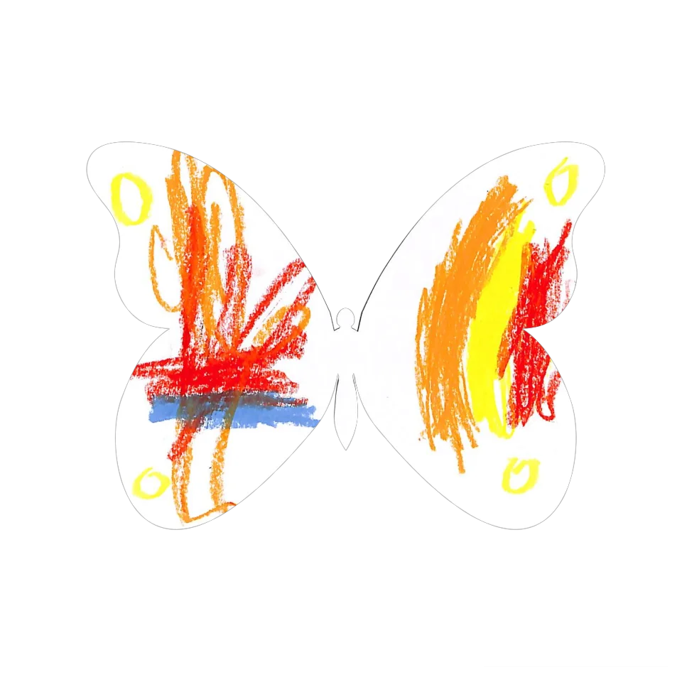 Original Butterfly Image
