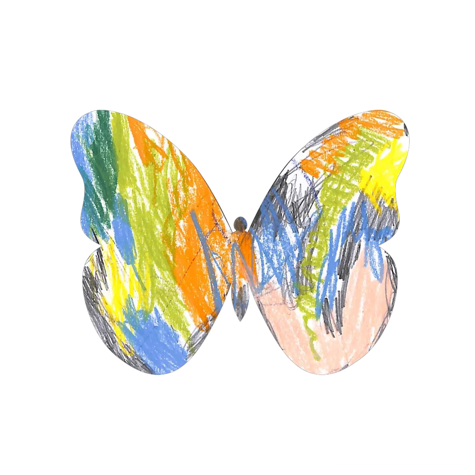 Original Butterfly Image