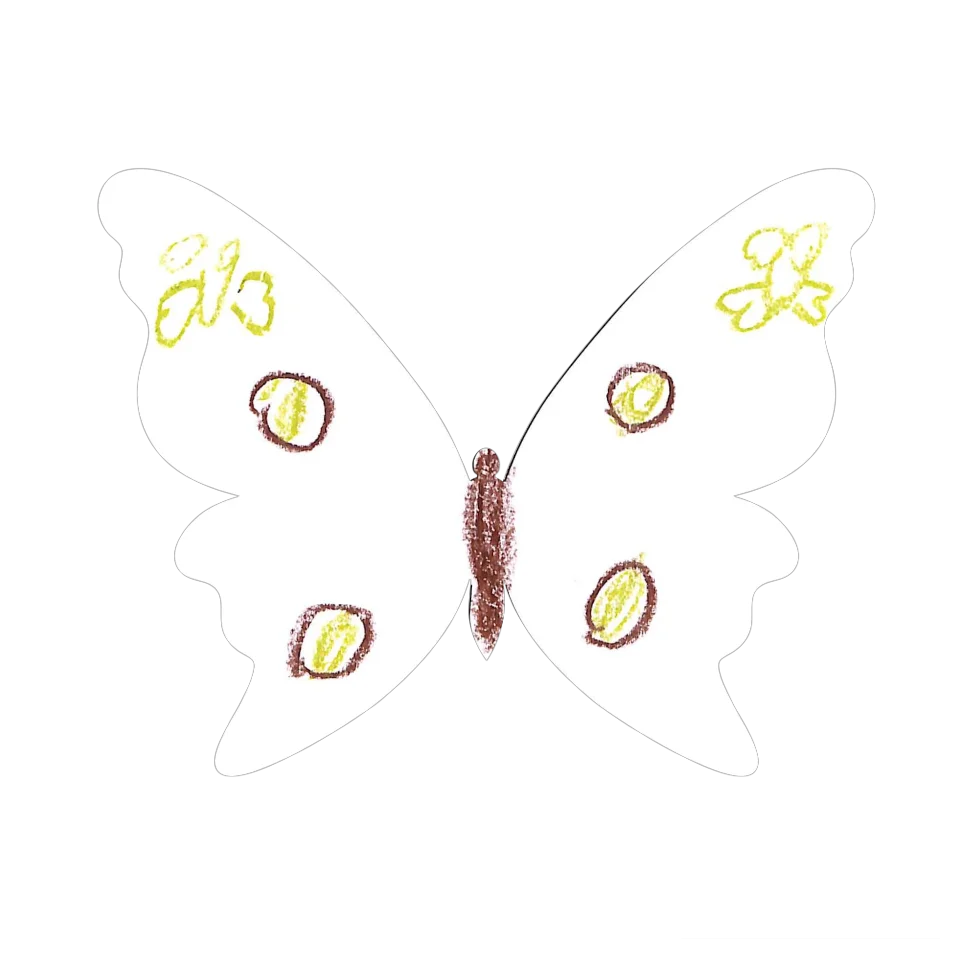 Original Butterfly Image