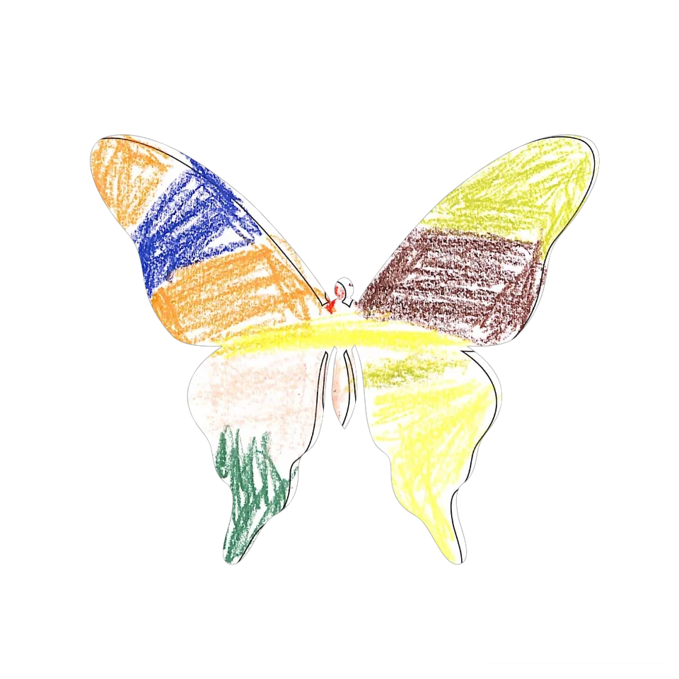 Original Butterfly Image