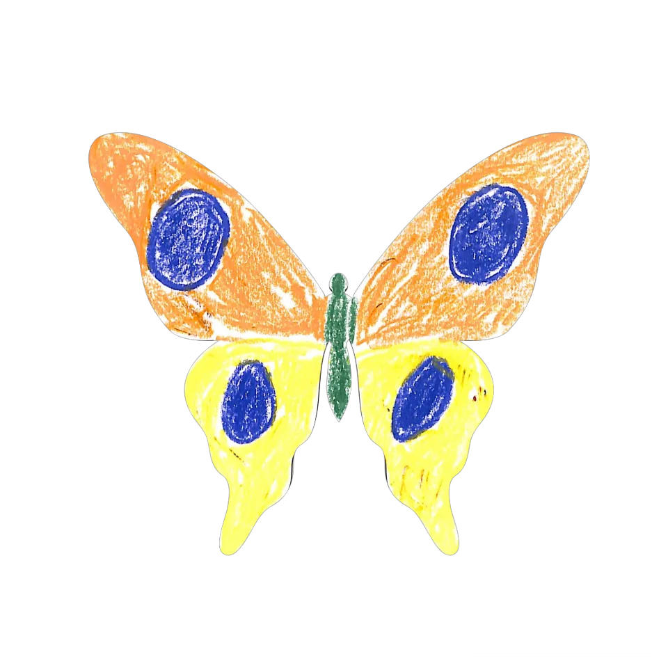Original Butterfly Image