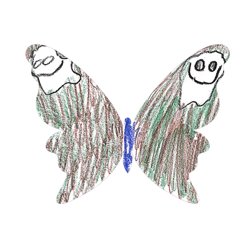 Original Butterfly Image