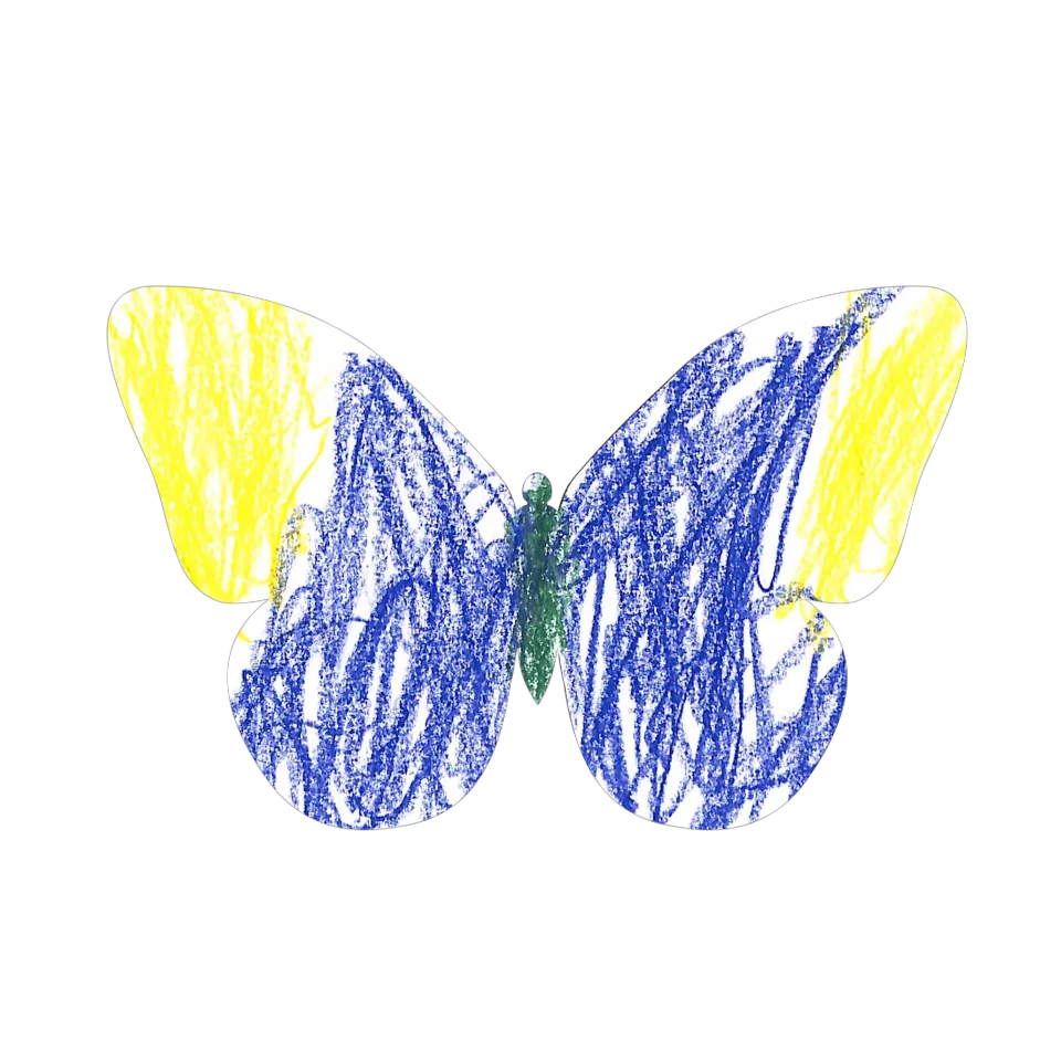 Original Butterfly Image