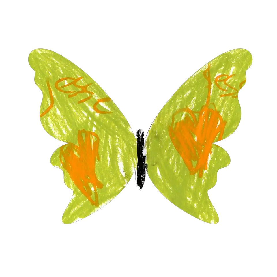 Original Butterfly Image